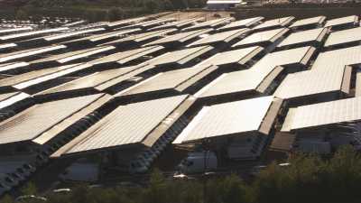 Solar Roof of Renault Factory, Batilly