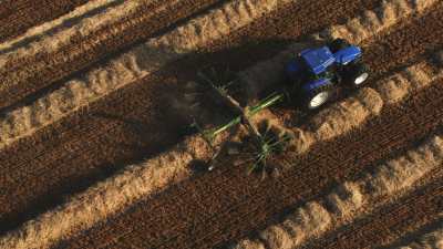 Harvests in Beauce