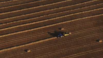 Harvests in Beauce