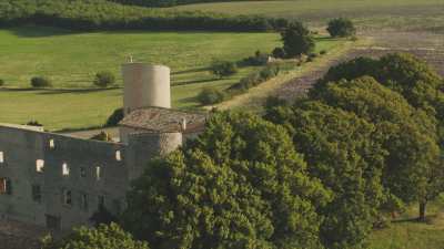 Stone ruin in a lavender field