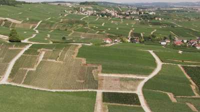 Vineyards and countryside villages