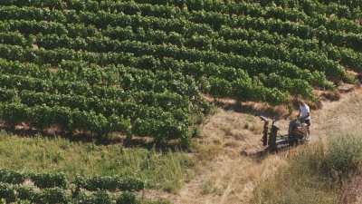 Vineyards and countryside villages