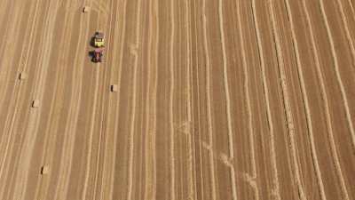 Bundling of wheat germs, French countryside