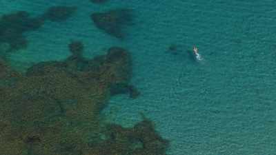 Swimmers in crystalline waters,Island of Port Cros