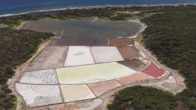 Coloured salines on seashore