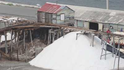 Men doing salt work on the shores