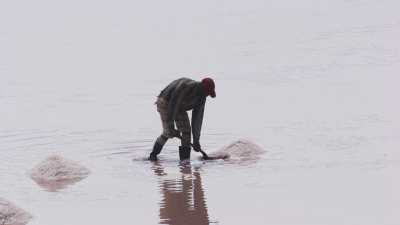 Close-shots of sea salt gathering