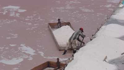 Close-shots of sea salt gathering in the salines