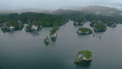 Seaweed farming