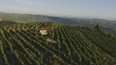 Mists on the hills, vineyards and villages of Liguria