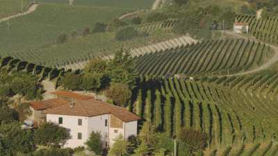 Harvests in Liguria