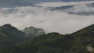 Vineyards in Liguria