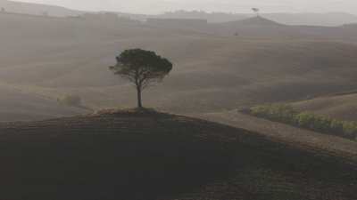 Tuscan countryside