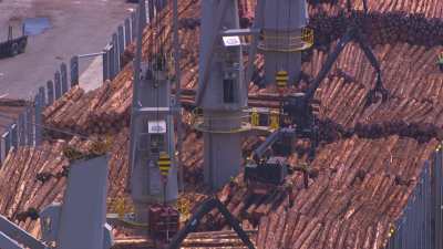 Timber loaded on a cargo ship