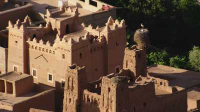 Storks  ksar's roofs