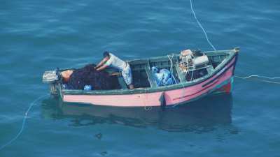 fishermen collecting red algae