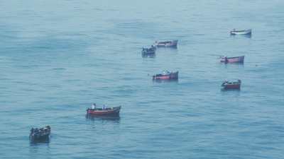 fishermen collecting red algae