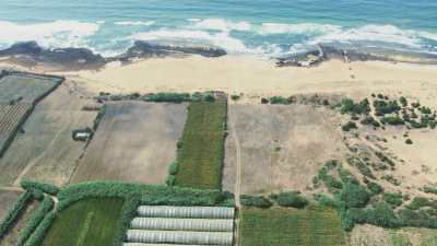 Farms by the sea near El Jadida