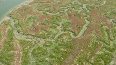 Tributaries of the Oum Errabiâ river and salt ponds, Oualidia