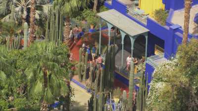 The garden Jardin Majorelle