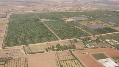 Approach to the Agdal Gardens and to the Olive Grove