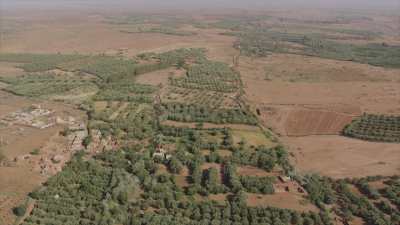 Countryside around Marrakech