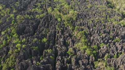 The Tsingy de Bemaraha National Park