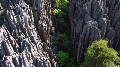 The Tsingy de Bemaraha National Park