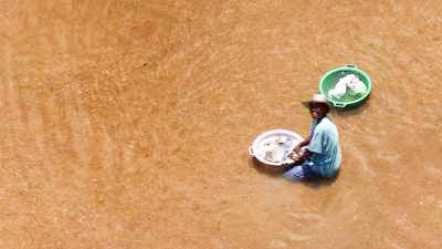 Women, children and farmers at work