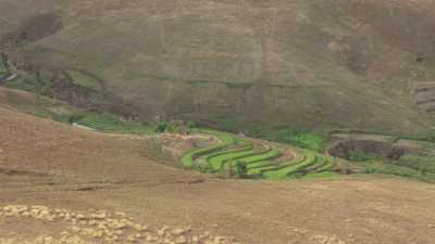 Terrace cultivated small plots