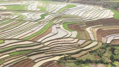 Graphic coloured Terrace Farming landscape