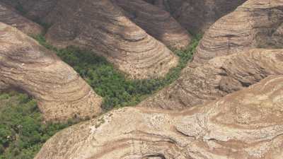 Rocs and vegetation, Isalo National Parc