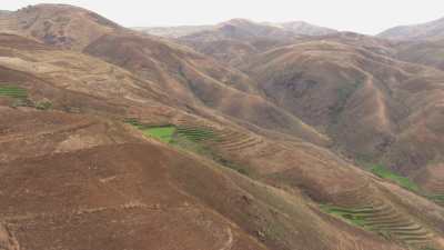 Madagascan fields and farms