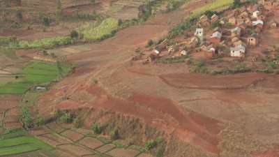 Madagascan fields and farms