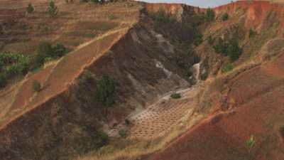 Madagascan fields and farms