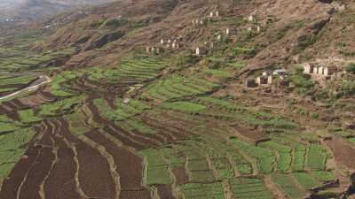 Madagascan fields and farms