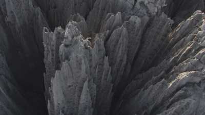 The Tsingy de Bemaraha National Park