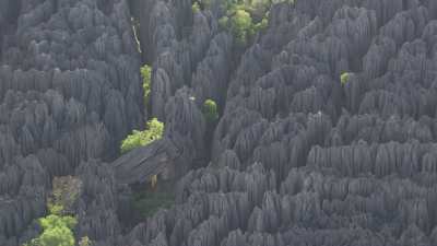 The Tsingy de Bemaraha National Park