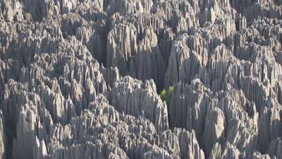 The Tsingy de Bemaraha National Park