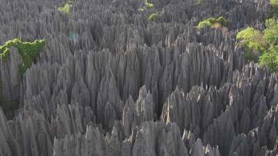 The Tsingy de Bemaraha National Park