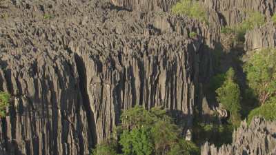 The Tsingy de Bemaraha National Park