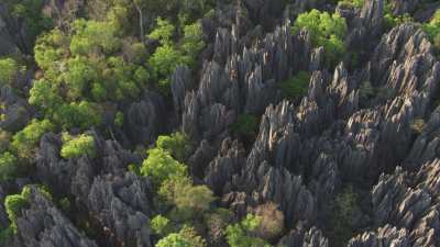 The Tsingy de Bemaraha National Park