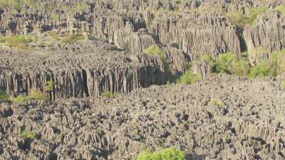 The Tsingy de Bemaraha National Park