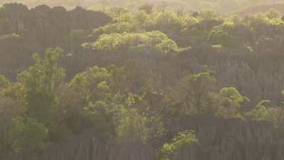 The Tsingy de Bemaraha National Park