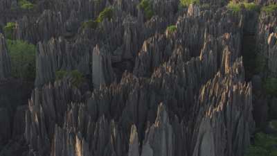 The Tsingy de Bemaraha National Park