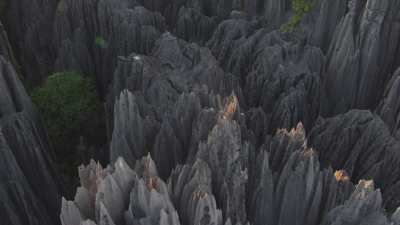 The Tsingy de Bemaraha National Park