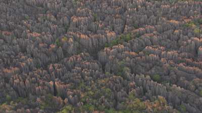 The Tsingy de Bemaraha National Park