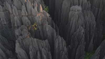 The Tsingy de Bemaraha National Park