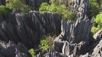 The Tsingy de Bemaraha National Park