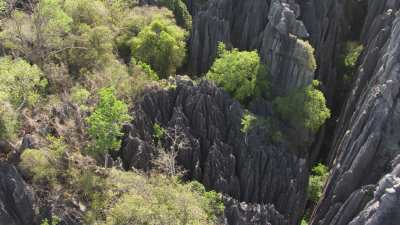 The Tsingy de Bemaraha National Park